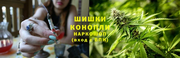 амф Алексин