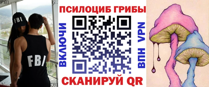 Псилоцибиновые грибы прущие грибы купить наркотик Саранск