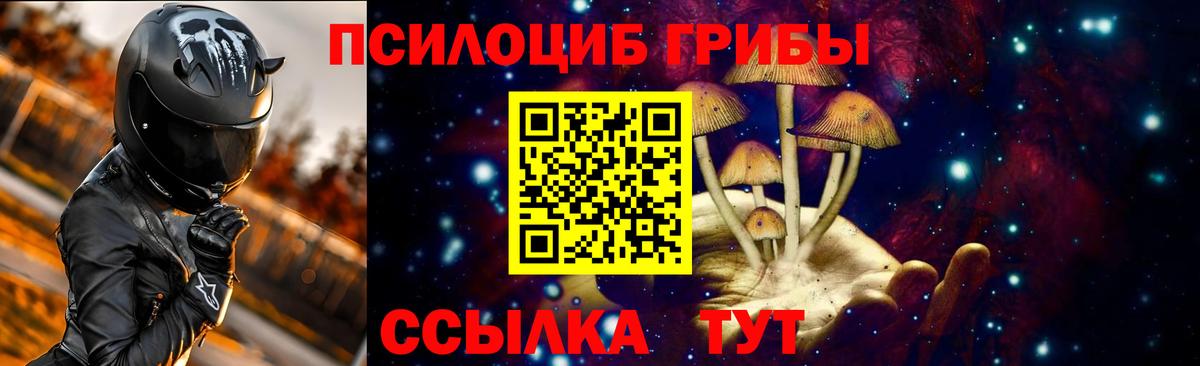 Псилоцибиновые грибы Psilocybe  Псилоцибиновые грибы MAGIC MUSHROOMS  Саранск  Вход с VPN 